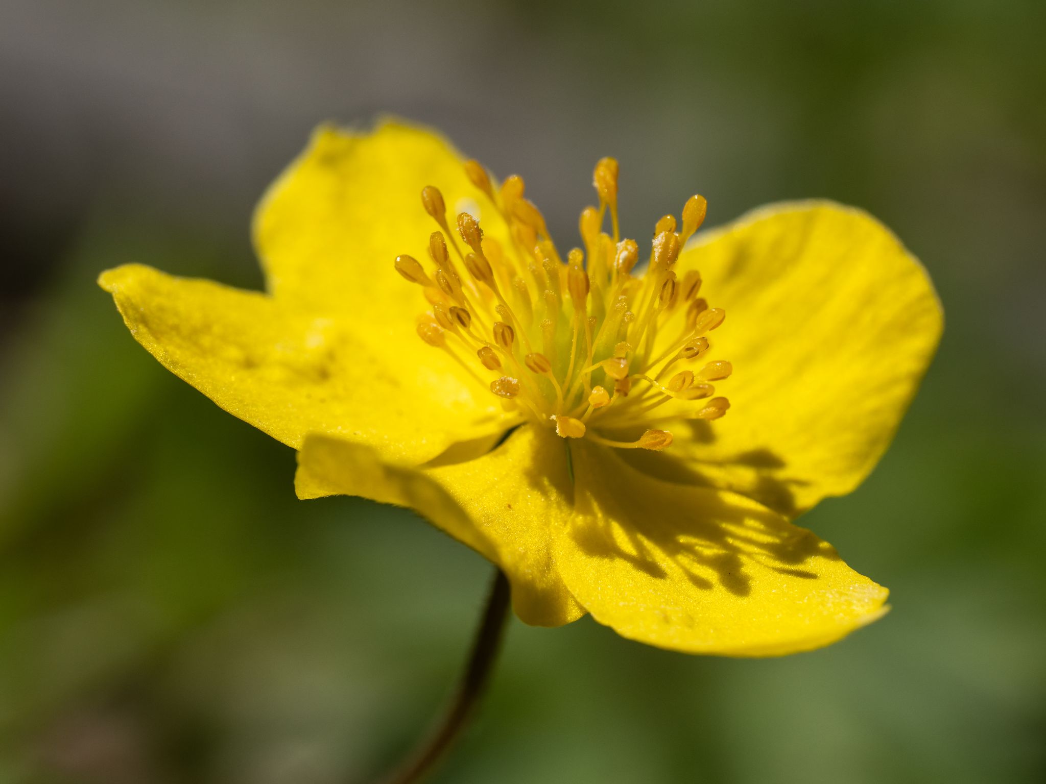 124 260426 1300 H  2HR0748 DxO DeepPRIME 3